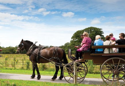 Best Deal Travel Insurance Ireland Best Deal Travel Insurance Ireland
